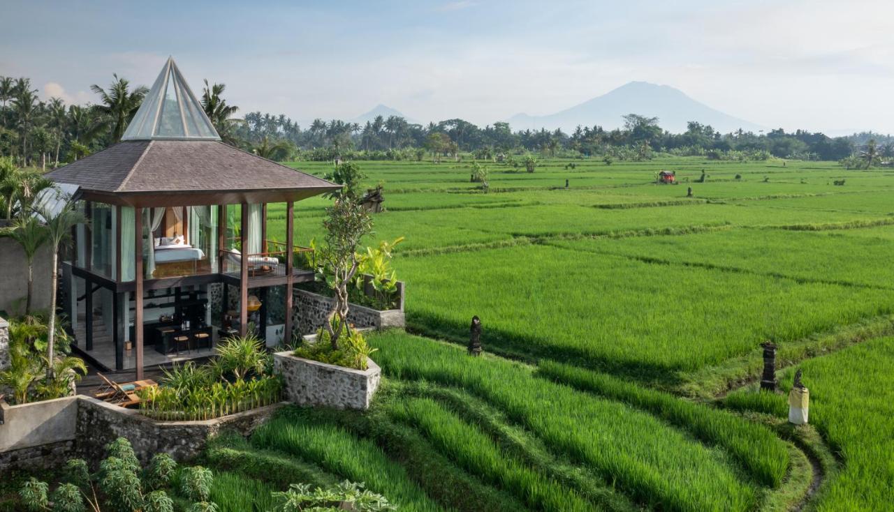 Gdas Bali Health And Wellness Resort Ubud Esterno foto