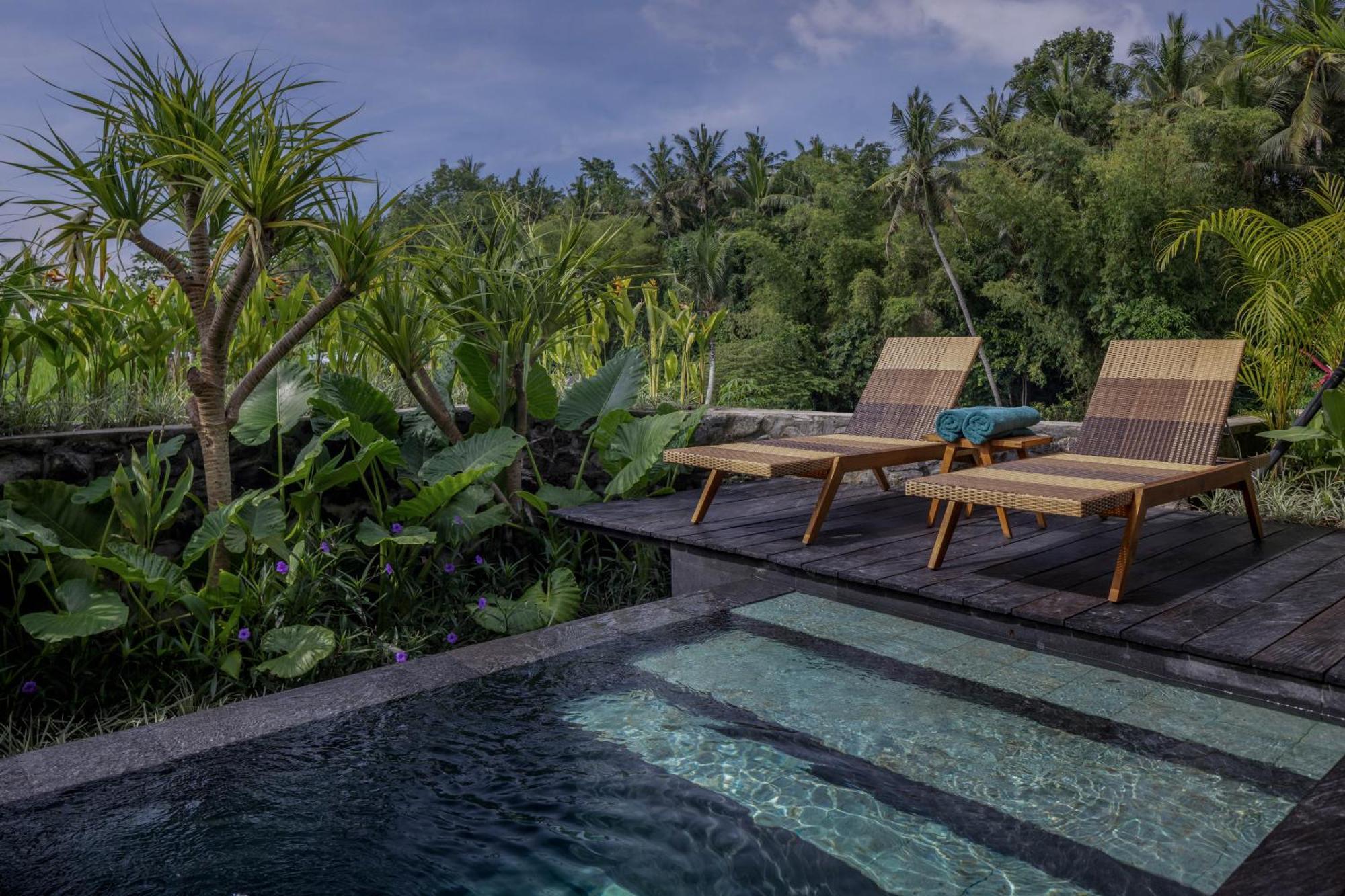 Gdas Bali Health And Wellness Resort Ubud Esterno foto