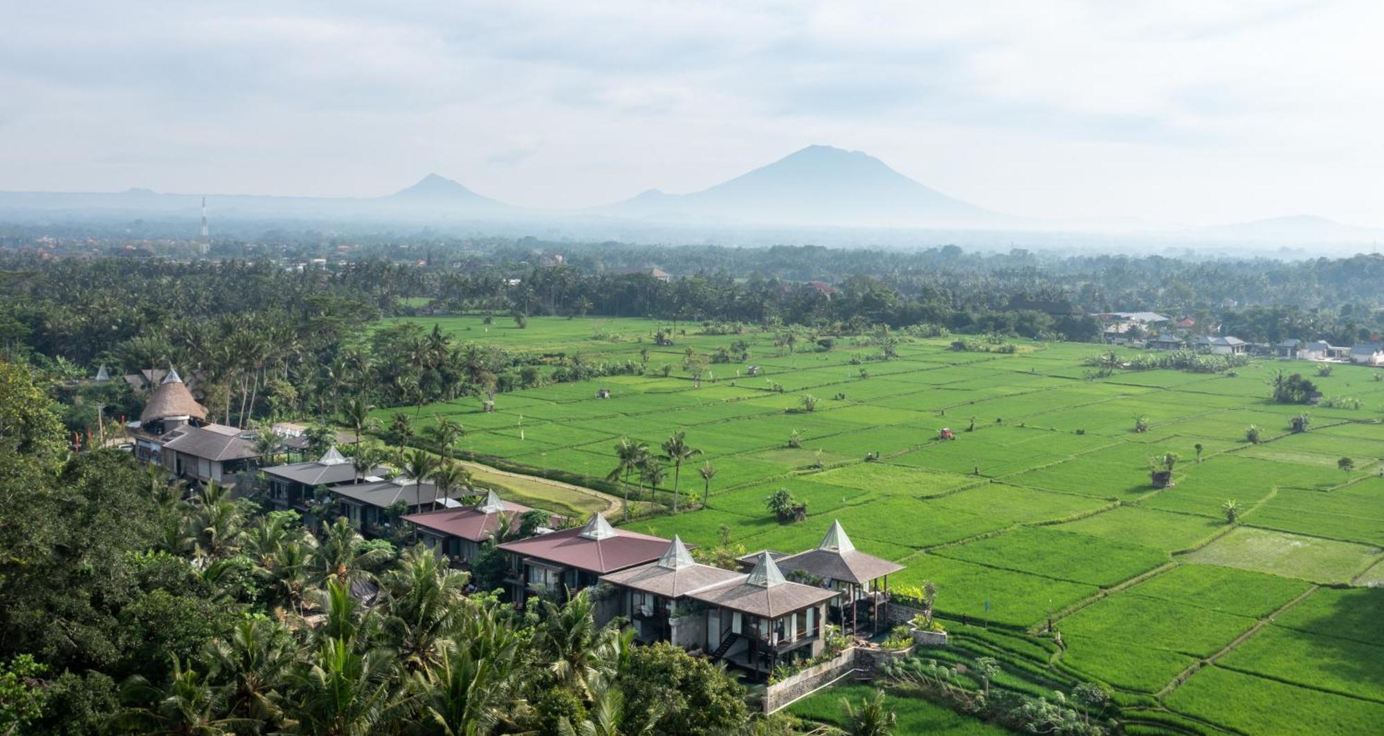Gdas Bali Health And Wellness Resort Ubud Esterno foto